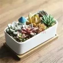 辦公室風水禁忌&催財運**！新的一年加薪看這里！