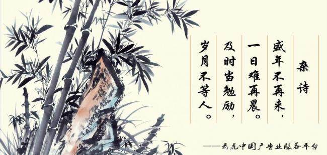 辦公室風(fēng)水?dāng)[件，助你事業(yè)風(fēng)生水起