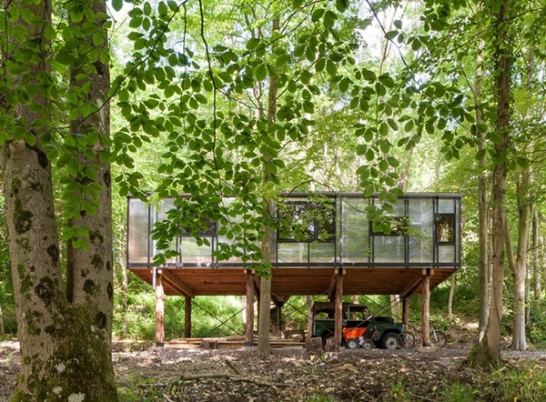 森林中的辦公室裝修也可以很有愛！