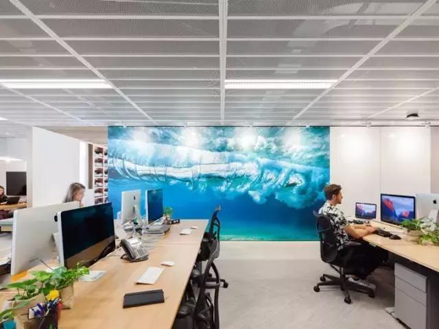 2000m2 像家一樣溫馨的辦公室，看完我心動了