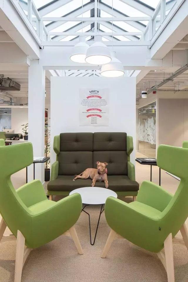 150億市場(chǎng)潛力，辦公室裝修也要開始考慮狗狗的感受了